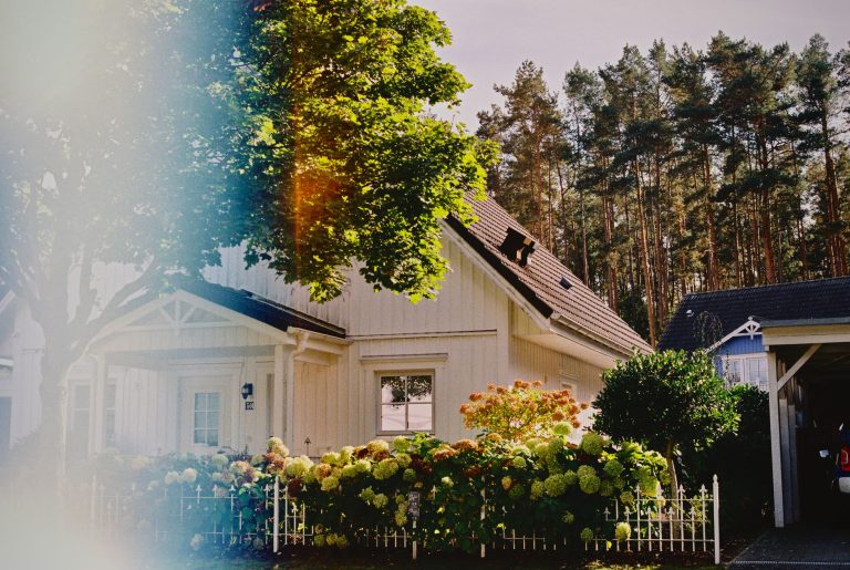 Affordable Front Yard Landscaping Ideas for Better Home Curb Appeal