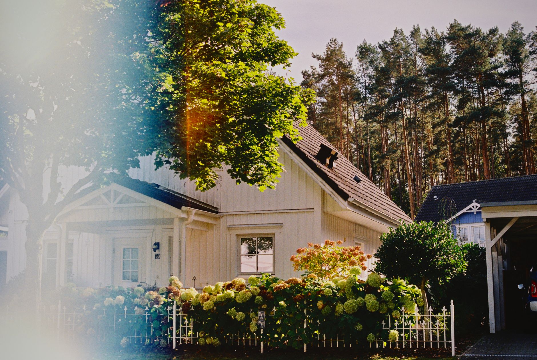 Affordable Front Yard Landscaping Ideas for Better Home Curb Appeal