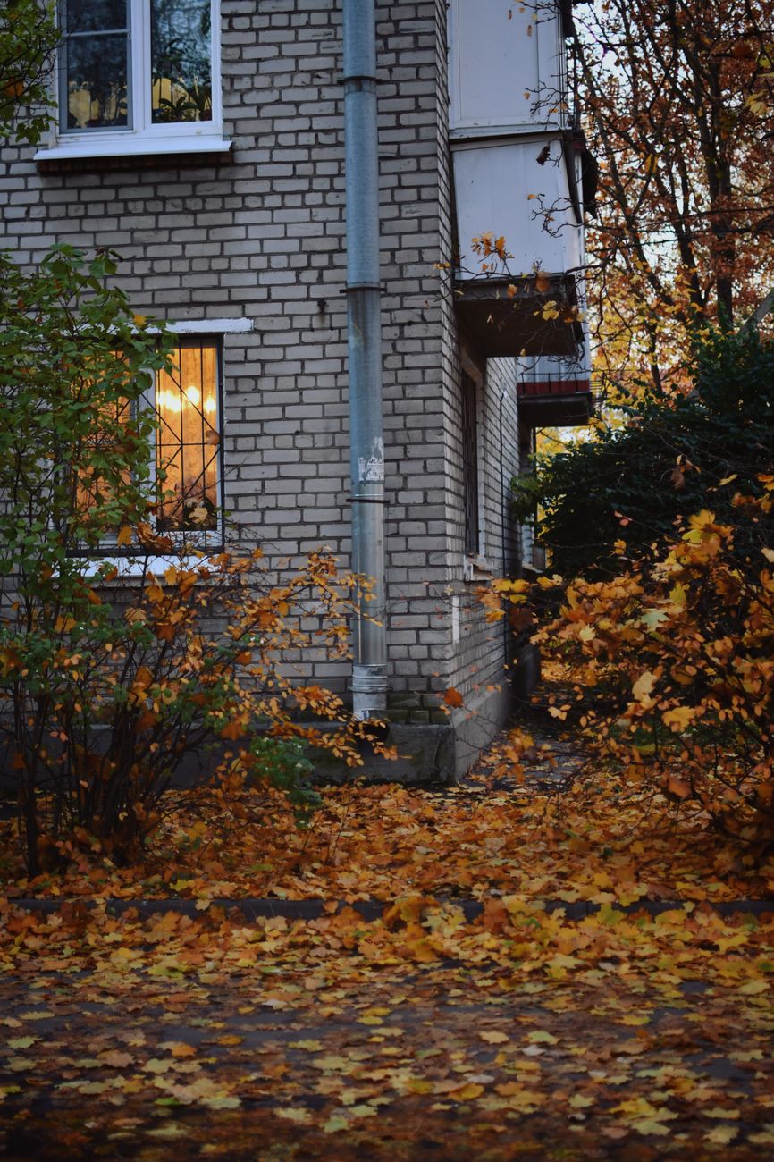 Best Fall Exterior Home Improvement Projects to Complete Before Winter