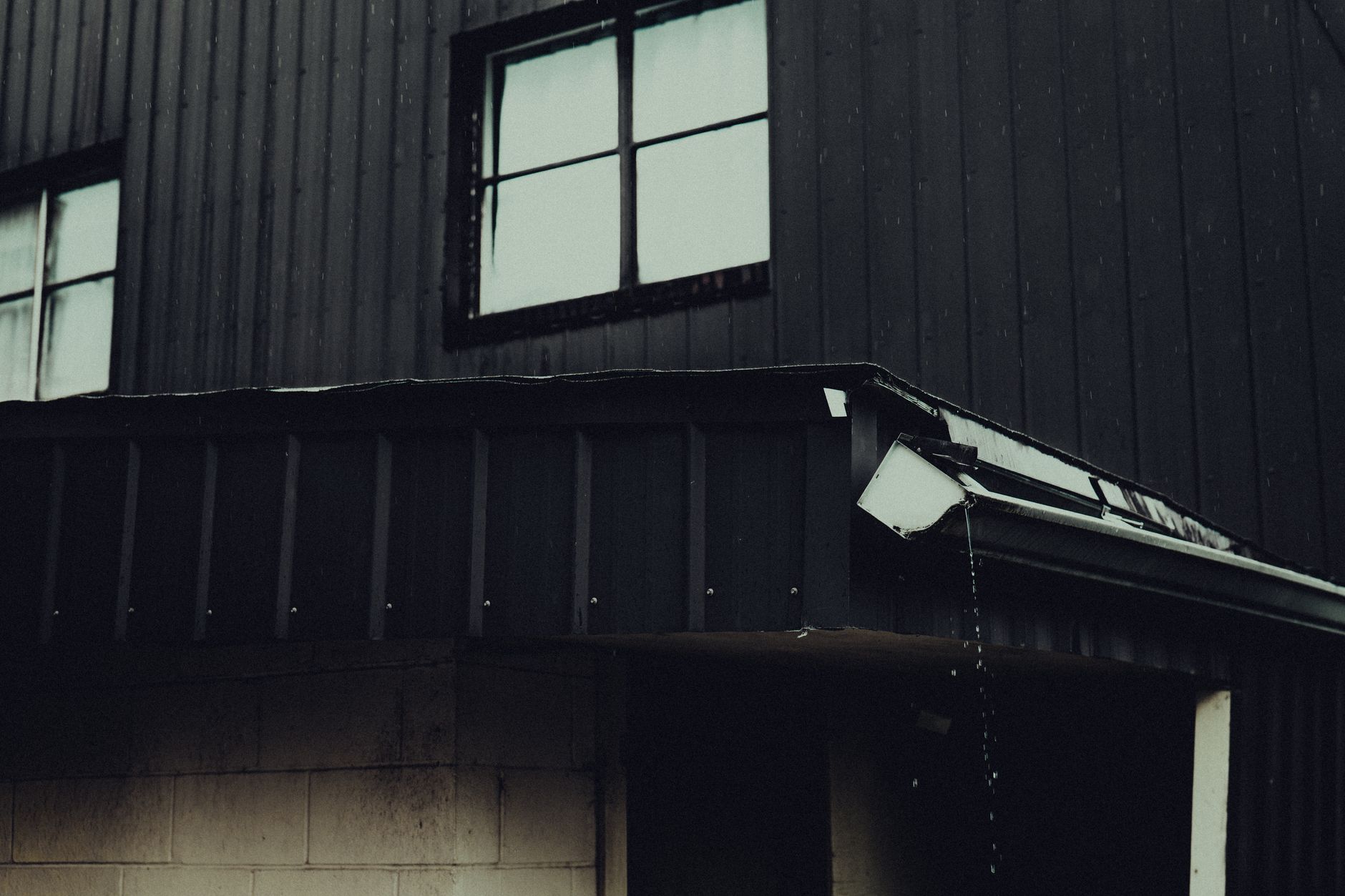 Best Gutter Replacement Options to Protect Your Home From Water Damage