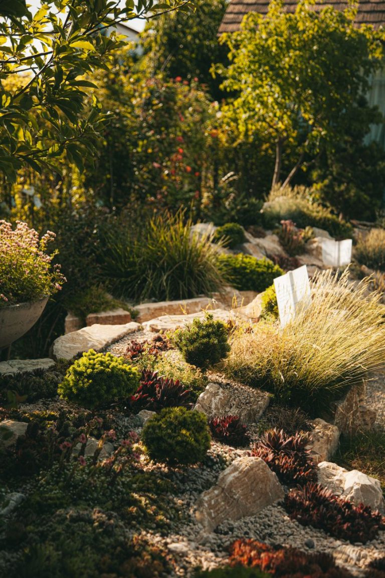 Best Low Maintenance Landscaping Ideas for Front Yard Makeovers