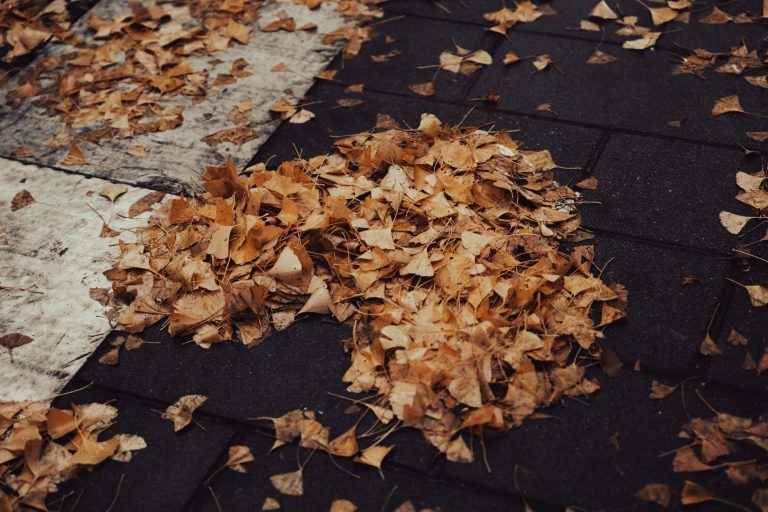 Fall Home Exterior Maintenance Checklist to Prepare for Winter 2026