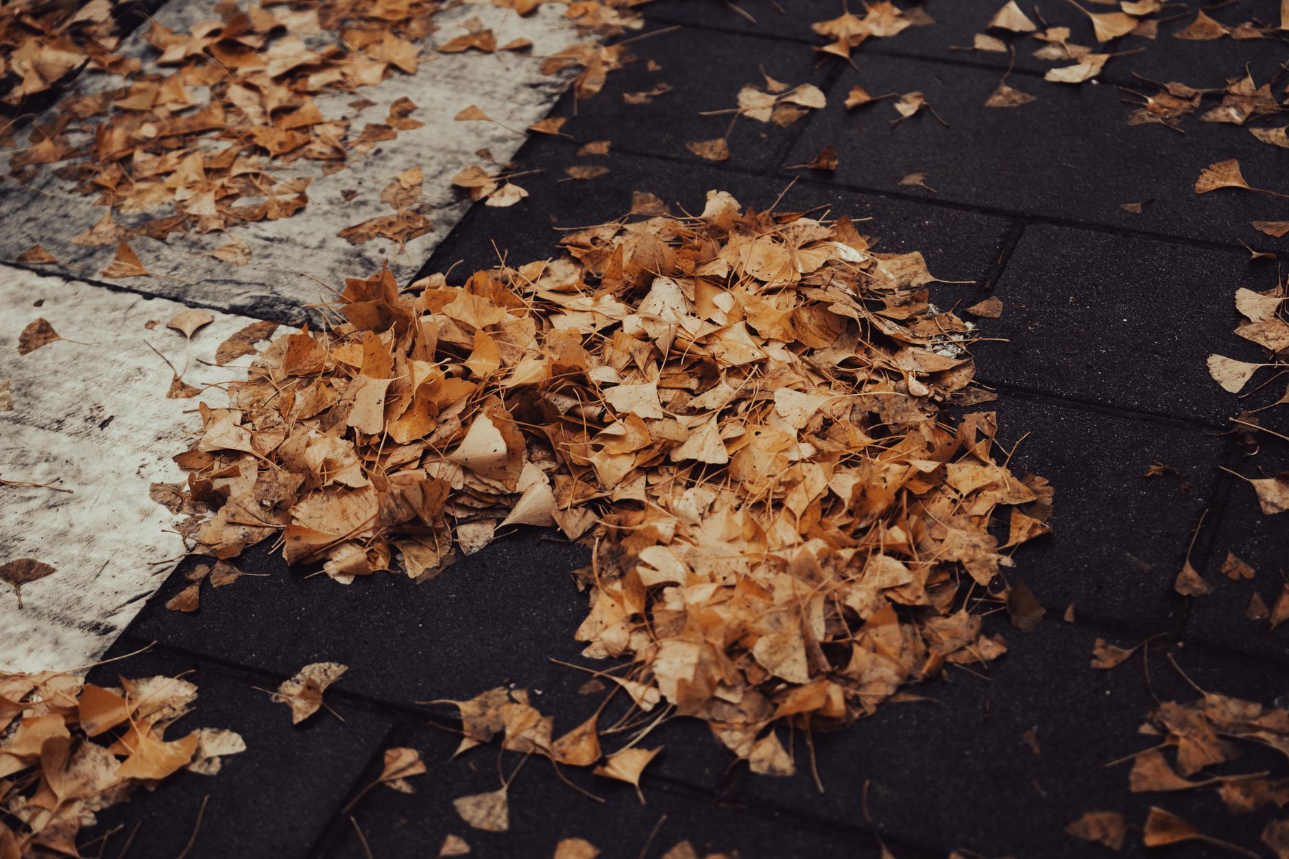 Fall Home Exterior Maintenance Checklist to Prepare for Winter 2026