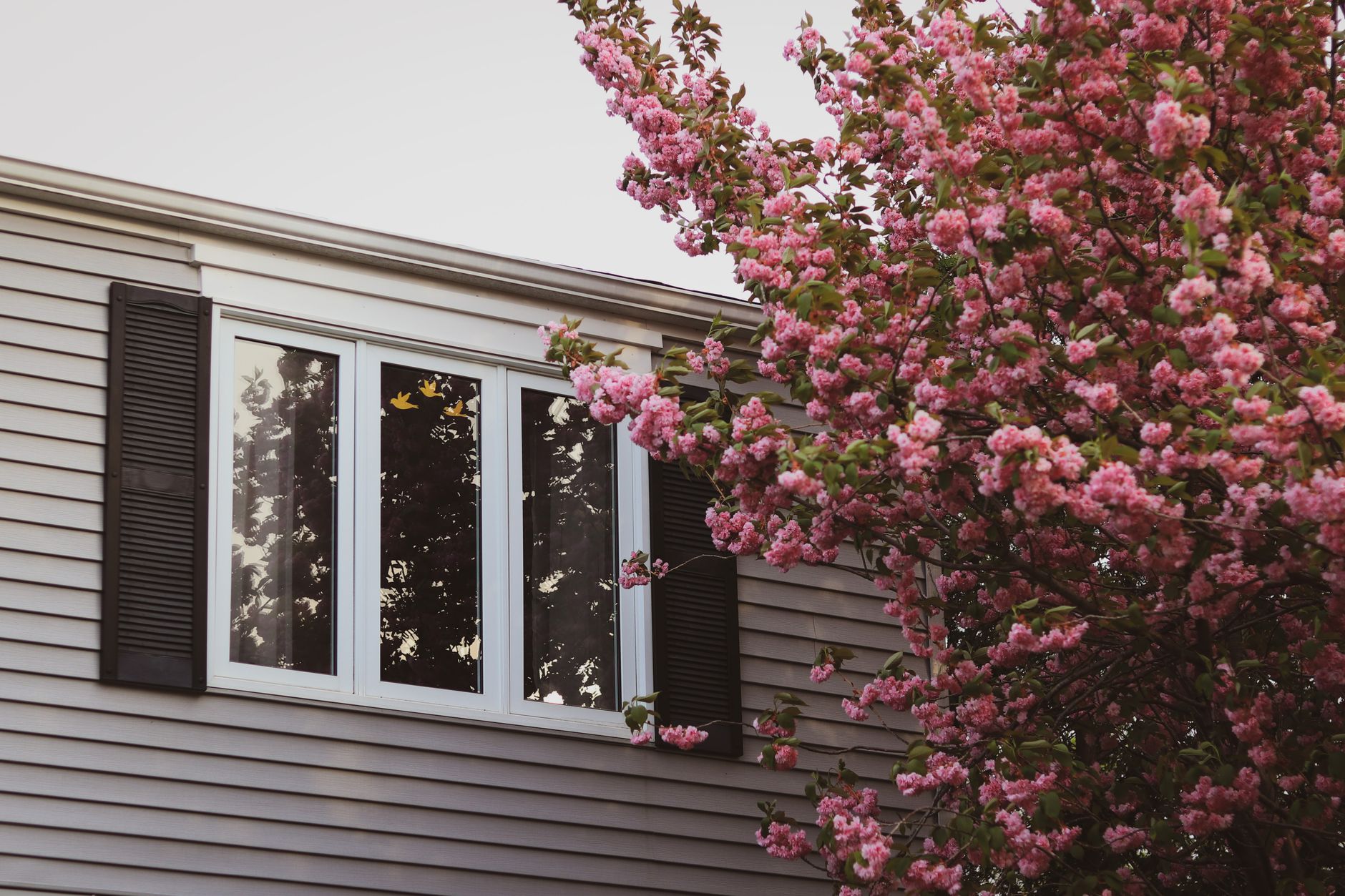 Spring Home Exterior Maintenance Checklist for Homeowners in 2027